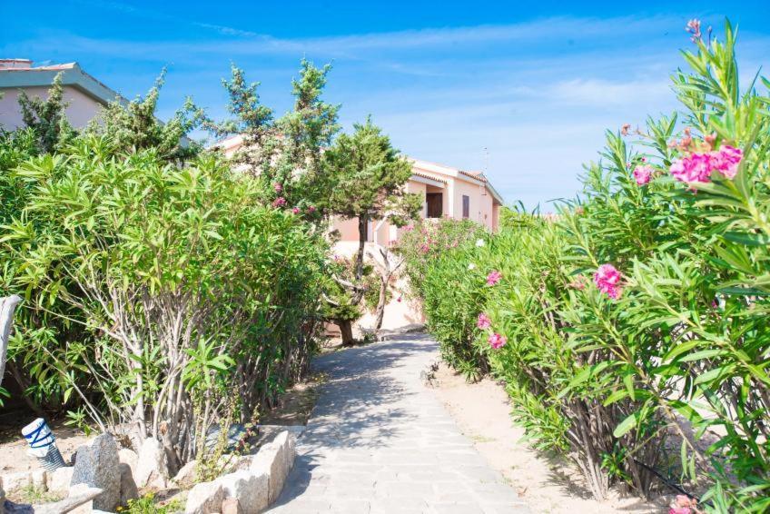 אפרטהוטל באדזי Baia Delle Mimose מראה חיצוני תמונה